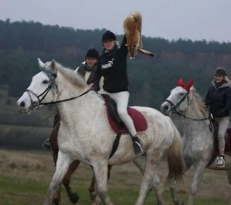 Orange Warmia Towers * أولشتين